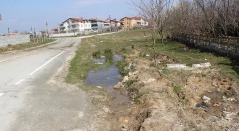 AKLIMIZLA DALGA GEÇİYORLAR