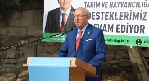 Haber Resmi