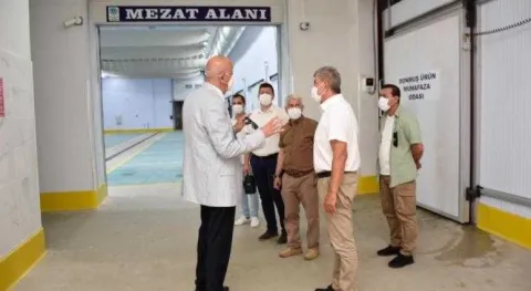 Haber Resmi