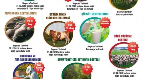 Haber Resmi