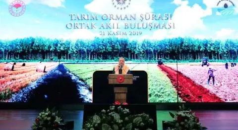 Haber Resmi