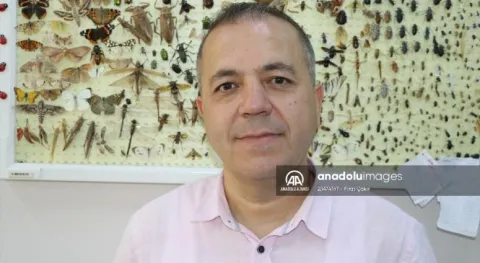 Haber Resmi