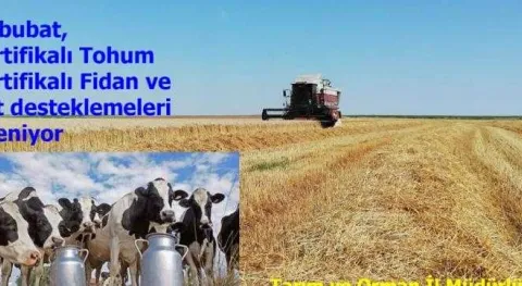 Haber Resmi