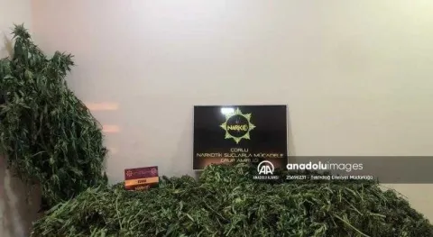 Haber Resmi