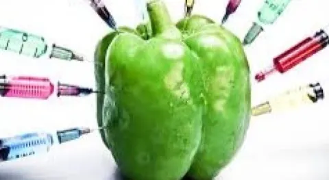 Haber Resmi