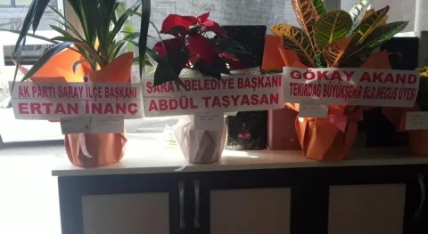 Haber Resmi