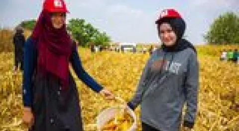 Haber Resmi