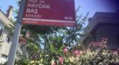 Haber Resmi