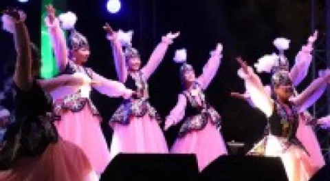 Haber Resmi