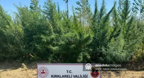 Haber Resmi