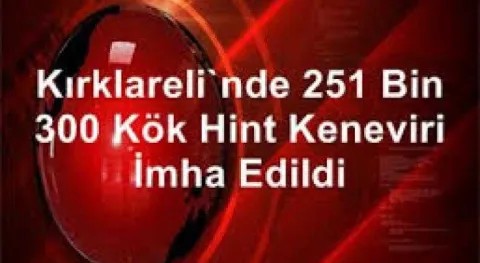 Haber Resmi