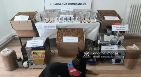 Haber Resmi