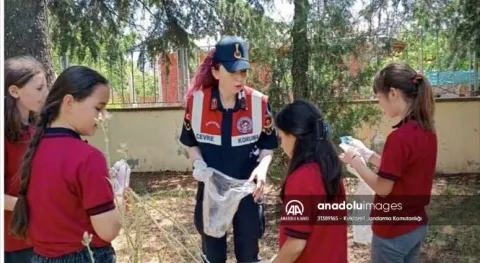 Haber Resmi
