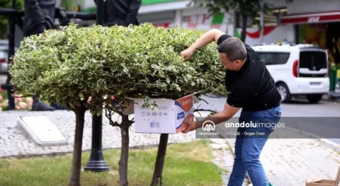 Haber Resmi