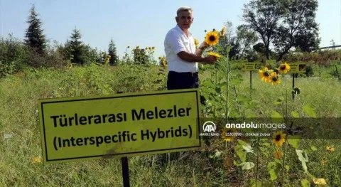 Haber Resmi
