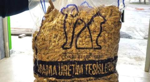 Haber Resmi