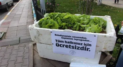 Haber Resmi