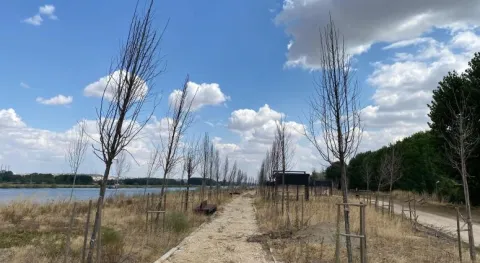 Haber Resmi