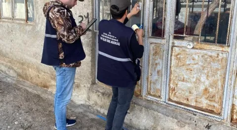 Haber Resmi