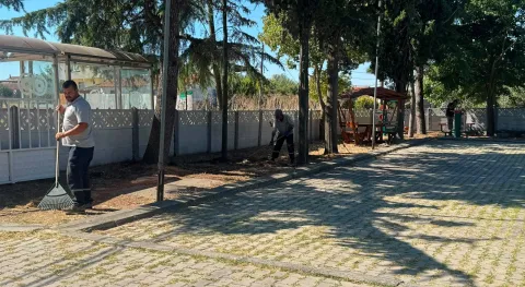 Haber Resmi