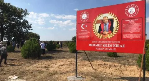 Haber Resmi