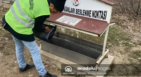 Haber Resmi