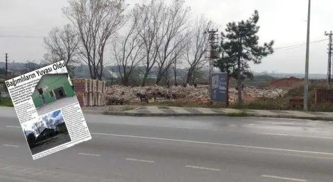 Haber Resmi