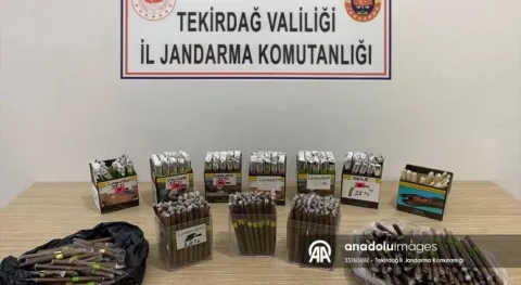 Haber Resmi