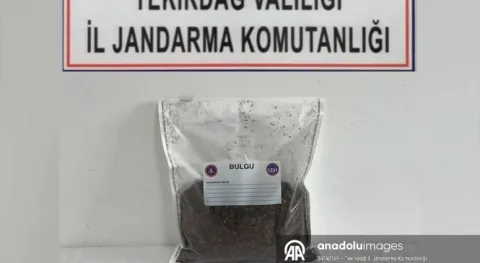 Haber Resmi