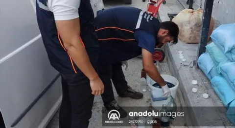 Haber Resmi