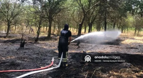 Haber Resmi