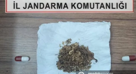 Haber Resmi