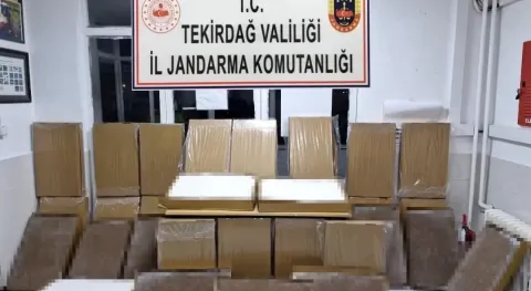 Haber Resmi