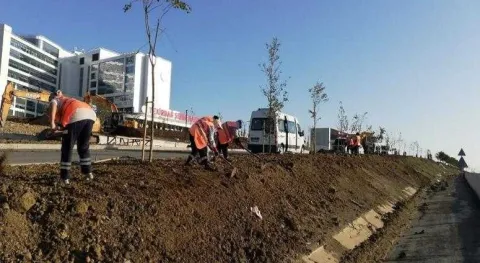Haber Resmi