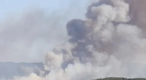 Haber Resmi