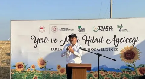 Haber Resmi