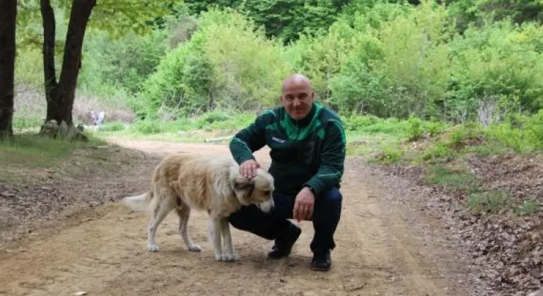 ÖZGEN BAŞKAN, BELEDİYE'YE RAHAT VE FERAH BİR MESİRE ALANI KAZANDIRIYOR