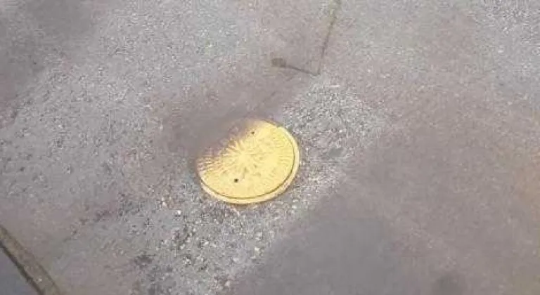 AMAN ALİ RIZA BEY AĞZIMIZ YANMASIN SİYASETİNDEN VAZGEÇİN