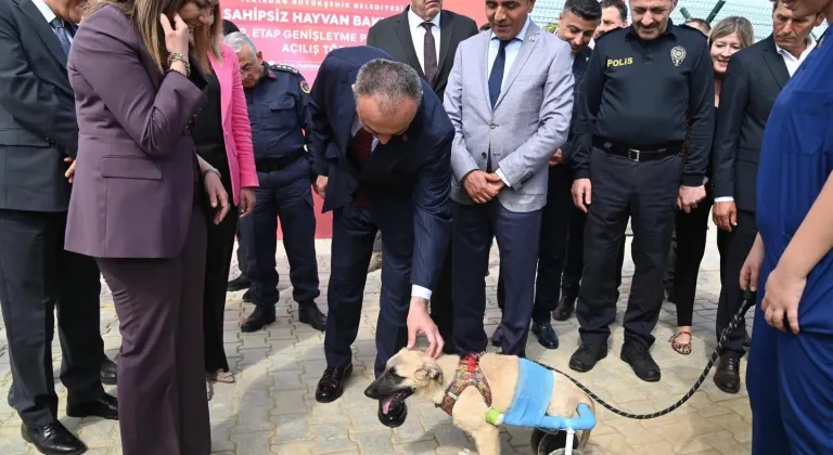 BÜYÜKŞEHİR’DEN CAN DOSTLARI İÇİN DEV ADIM: SAHİPSİZ HAYVAN BAKIMEVİ’NİN 2. ETABI AÇILDI