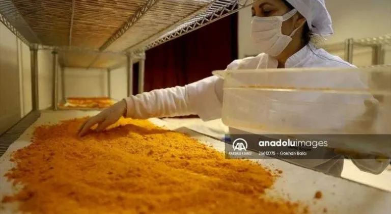 Edirne tarhanasını Türkiye'ye tanıtmayı hedefliyorlar