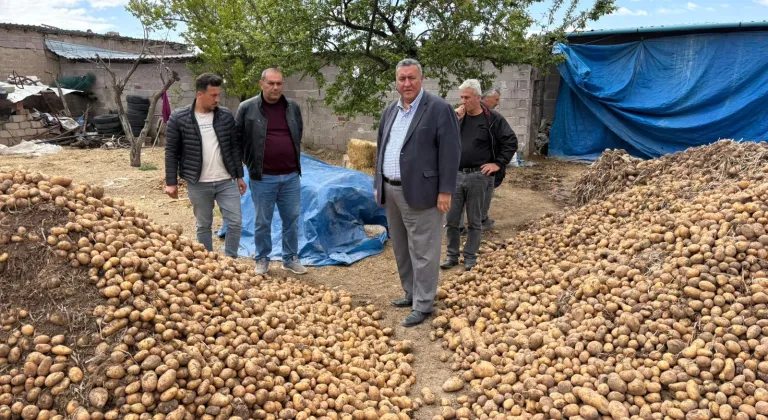Gürer: “Binlerce ton patates hayvan yemi oldu”
