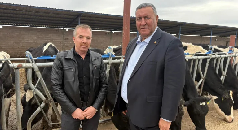 Gürer: “TÜİK verileri ile Damızlık Birlik verileri arasında 4 milyonu aşan fark var”