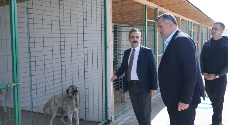 Kaymakam Refik Özsoy Hayvan Barınağında İncelemelerde Bulundu