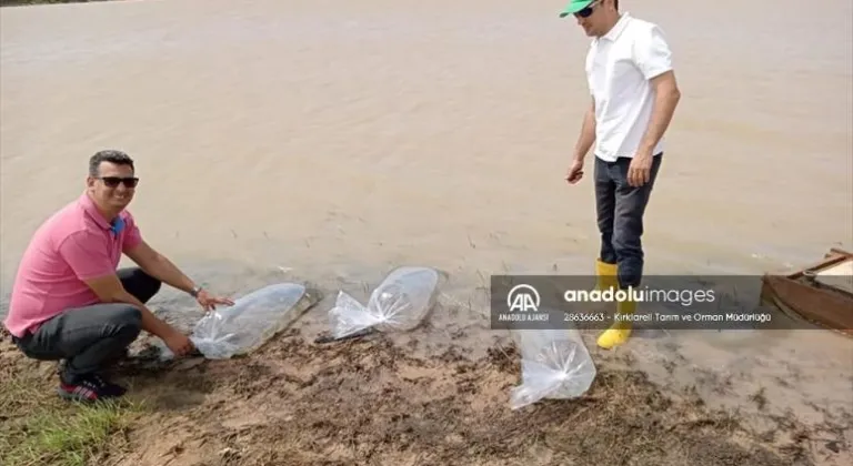 Kırklareli'nden kısa kısa