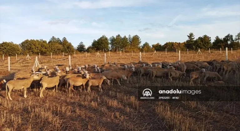 Kırklareli'nden kısa kısa