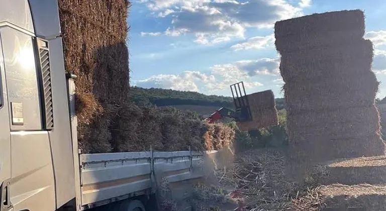 Malkara’da Saman Balyaları Çiftçinin Üzerine Devrildi: Hayatını Kaybetti