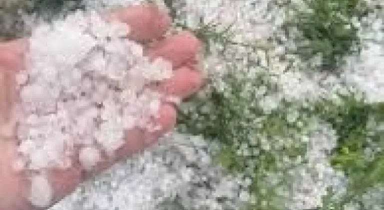 Muratlı’da Dolu Yağışı Korkuttu