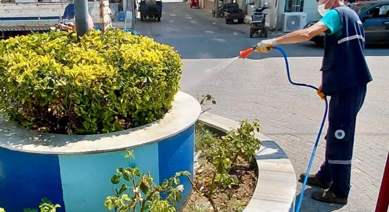 Manşet Resmi