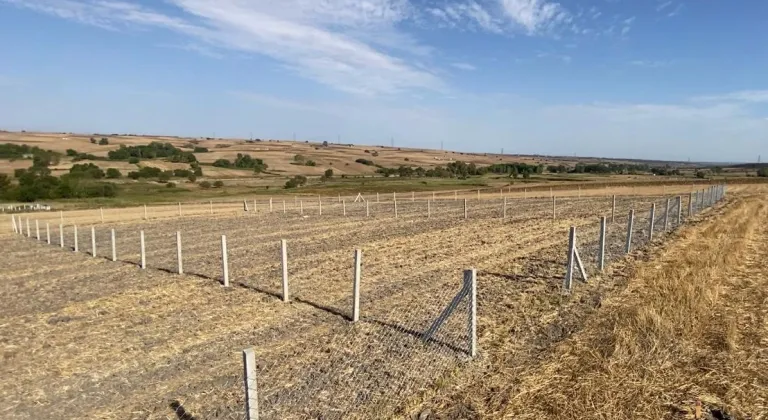 Manşet Resmi