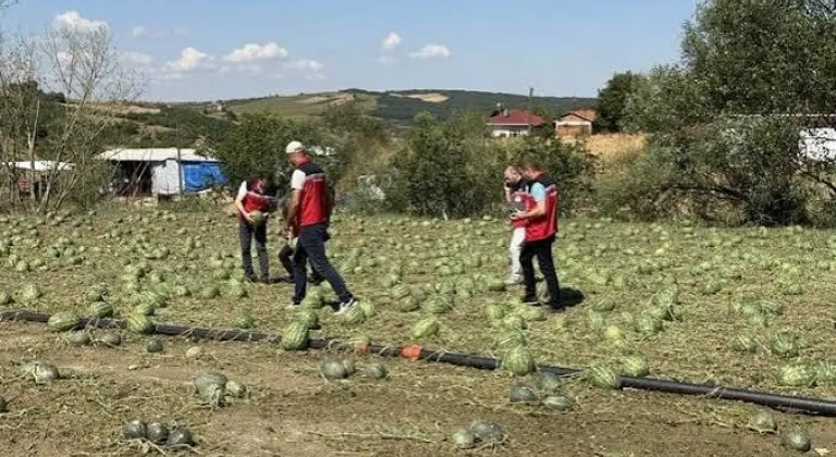 Manşet Resmi